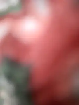 SexyBhabhi323 online show from 10.05.25