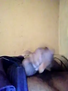 Dadgodd online show from 01.08.26