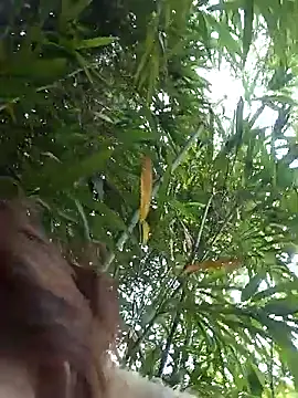 Bianly online show from 03.14.26