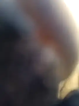 ShawnandDani7074 online show from 02.04.26