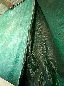 ShawnandDani7074 online show from 04.15.26