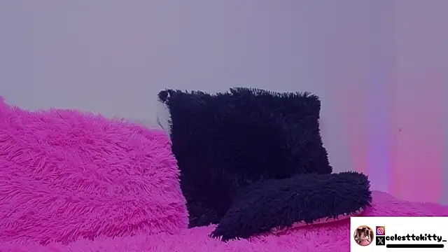 celestte evans 1 online show from 04.11.26