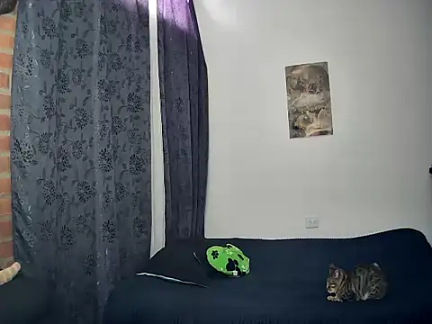 juantalents online show from 10.15.25