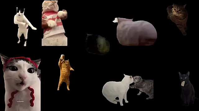 Snapshot of ch0wn_m chatting on 09.19.25 ch0wn m online show from 09.19.25