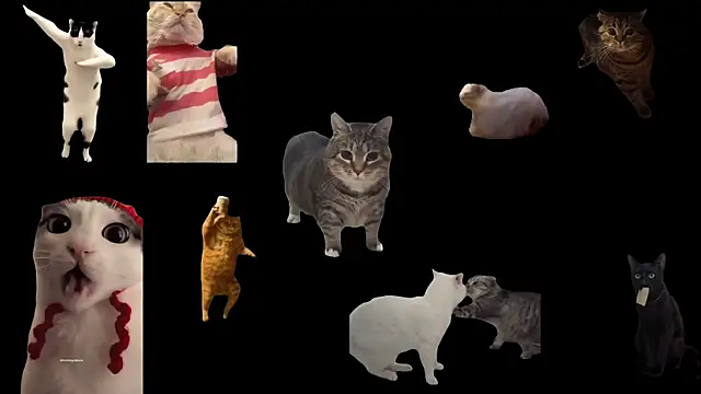 Snapshot of ch0wn_m chatting on 09.20.25 ch0wn m online show from 09.20.25