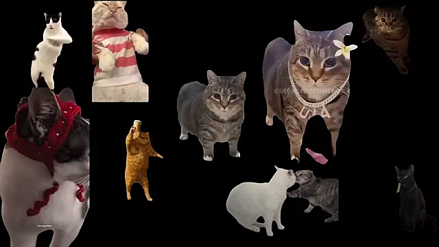 Snapshot of ch0wn_m chatting on 10.03.25 ch0wn m online show from 10.03.25