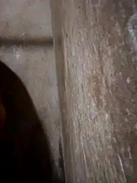 Lujor online show from 03.13.26