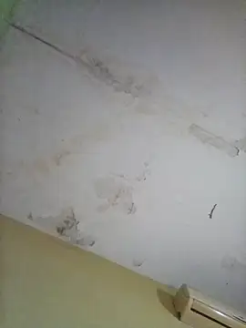 Snapshot of cometa267 chatting on 10.14.25 cometa267 online show from 10.14.25