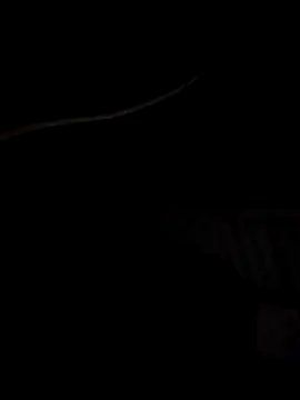 Snapshot of Xharmakesyoufeelorgasms chatting on 10.19.25 Xharmakesyoufeelorgasms online show from 10.19.25