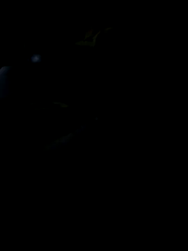 Reeelo online show from 11.19.25