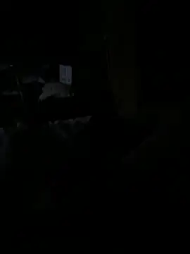 Reeelo online show from 12.15.25