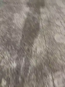 Foxfoxfox4 online show from 11.28.25