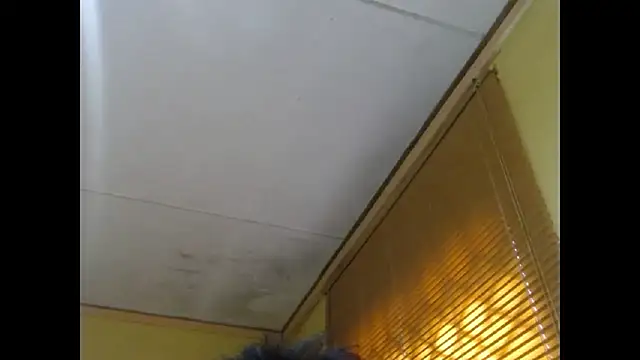 NawtyLisa online show from 03.03.26