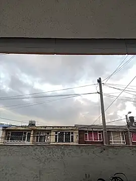 Sallem Pink online show from 03.20.26