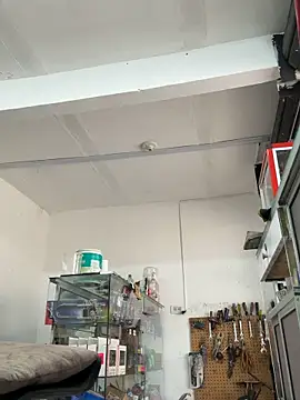 Terra-22cm online show from 04.11.26