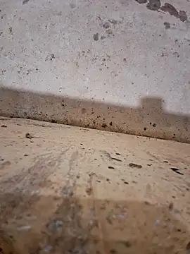 Negodabenga online show from 12.17.25