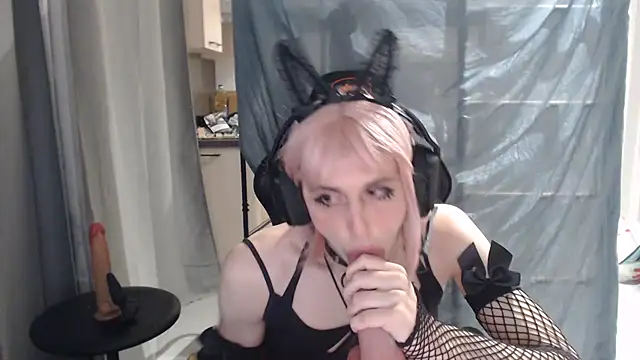 HungryCatUwU online show from 10.08.25