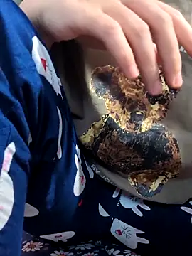 Snapshot of sasud2 chatting on 11.03.25 sasud2 online show from 11.03.25