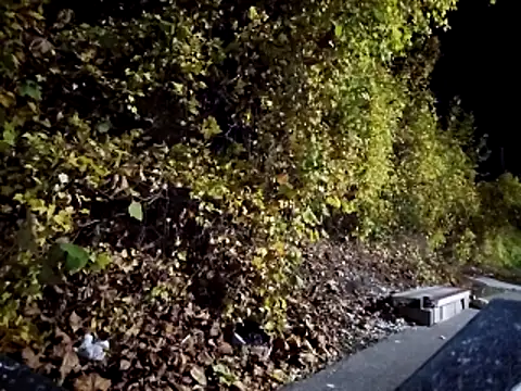 Snapshot of sloppytopkins chatting on 11.06.25 sloppytopkins online show from 11.06.25