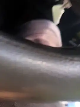 Snapshot of Frank0021 chatting on 11.04.25 Frank0021 online show from 11.04.25