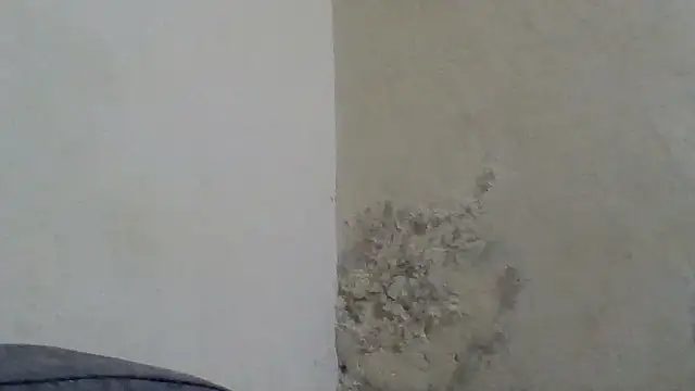 boobiesweet online show from 09.25.25