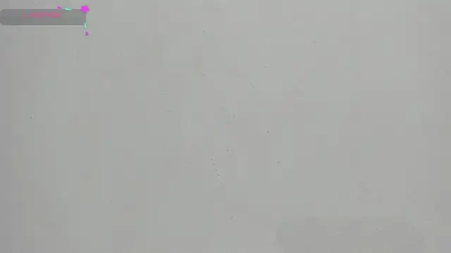 Snapshot of FluffyMelons chatting on 01.17.26 FluffyMelons online show from 01.17.26