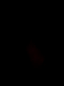 Quarentaoon online show from 09.10.25