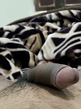 Bull54321 online show from 02.14.26