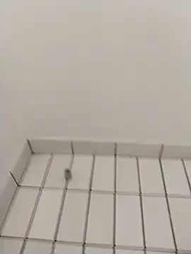 Snapshot of Ajayy01 chatting on 10.31.25 Ajayy01 online show from 10.31.25