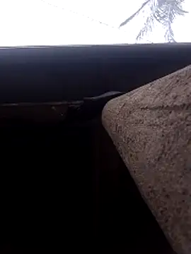 lady helen00 online show from 11.15.25