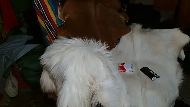 JUSTFORRICH online show from 01.08.26