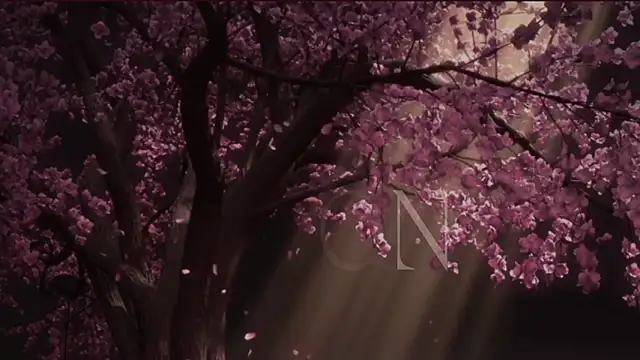 EdenArcadia online show from 05.20.26
