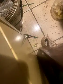 midravelta online show from 11.30.25