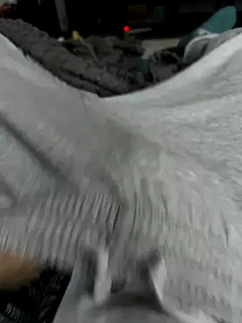 Frankieyyy1 online show from 11.28.25