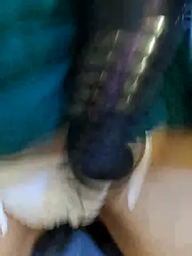 Bee sweet online show from 02.22.26