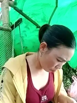 cicnci online show from 11.05.25