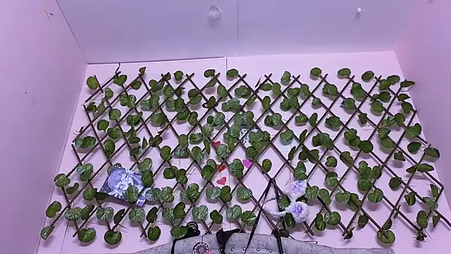 katalinathxandbritney1 online show from 09.24.25