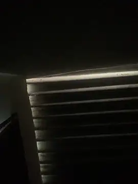 envolvemteX online show from 03.01.26