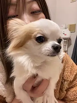 Snapshot of h415a812 chatting on 11.20.25 h415a812 online show from 11.20.25