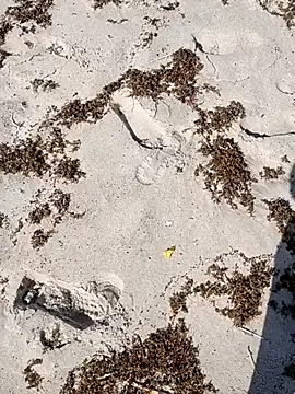 Snapshot of sarahkat86 chatting on 10.04.25 sarahkat86 online show from 10.04.25