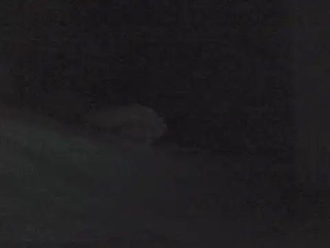 Snapshot of sarahkat86 chatting on 10.30.25 sarahkat86 online show from 10.30.25