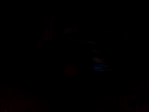 CaiBull online show from 10.26.25