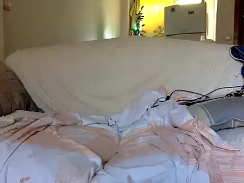 Snapshot of CaiBull chatting on 01.17.26 CaiBull online show from 01.17.26