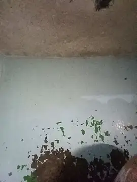 RandalHot online show from 01.14.26