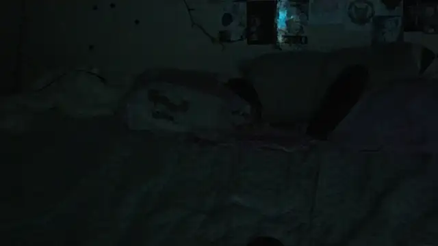 FairyFennec online show from 10.08.25