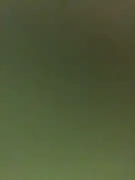 JuanitaMore01 online show from 02.16.26