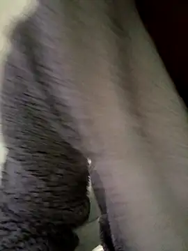 cameron334 online show from 11.01.25