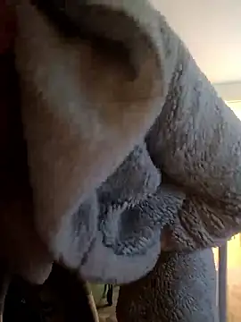 cameron334 online show from 01.12.26