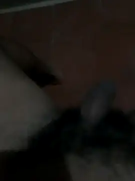 PhlegmySewerage online show from 10.11.25