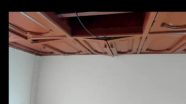 alice  brow online show from 10.08.25